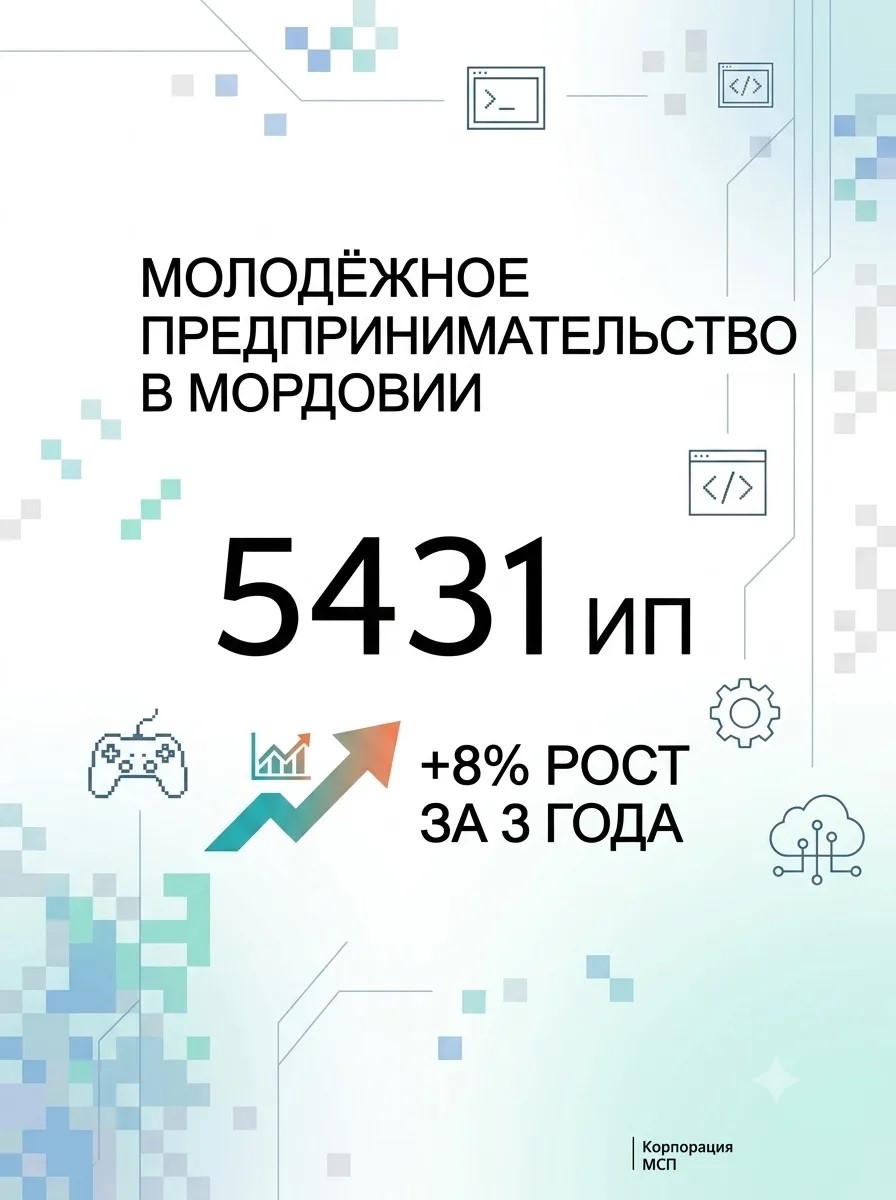 Молодёжное предпринимательство в Мордовии выросло до 5 431 ИП